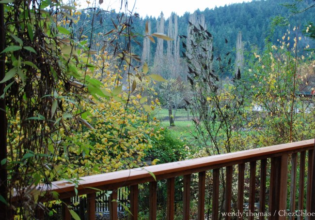 Starry starry nights-6