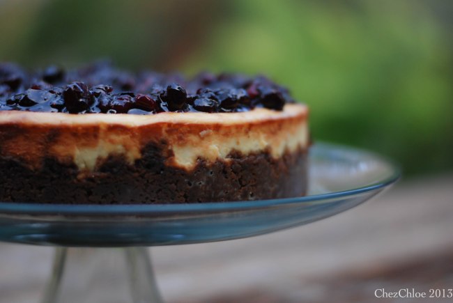 Cranberry cheesecake ginger crust-7