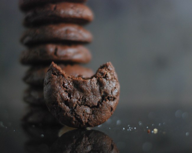 cholcolate ginger cookies-11