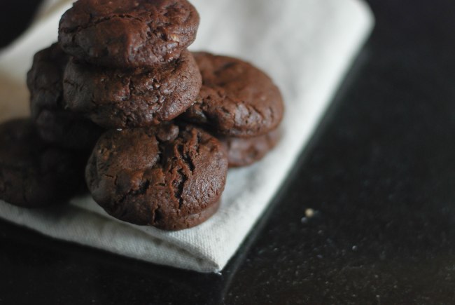 cholcolate ginger cookies-12