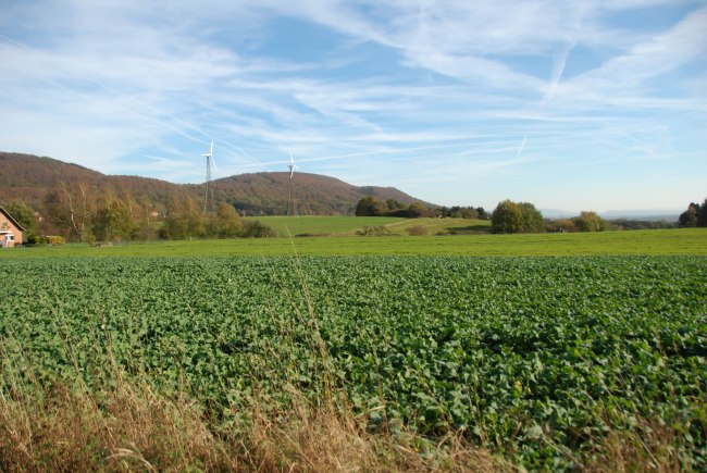 Detmold Germany 2013-6