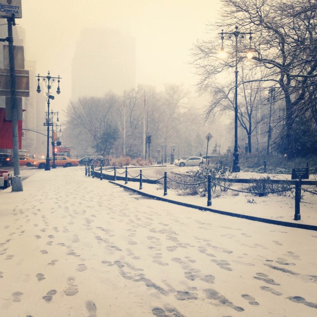 NYC Feb 2014 wendyellenthomas.com post 2