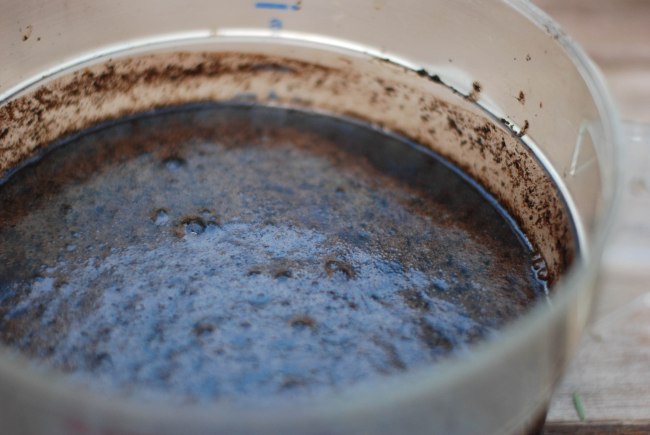 Coffee cold pressed-2