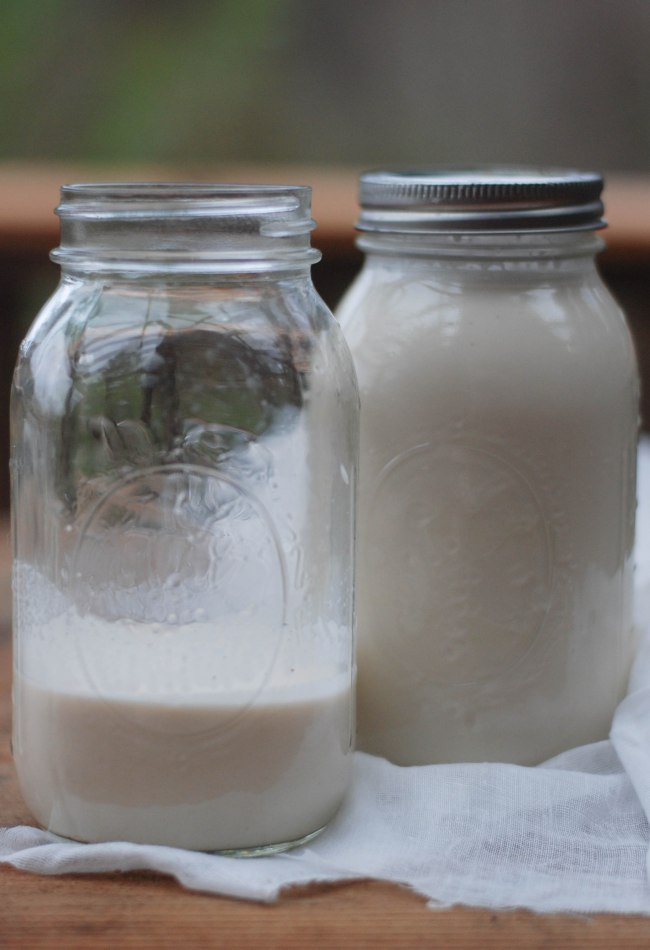 Vanilla almond milk homemade-10