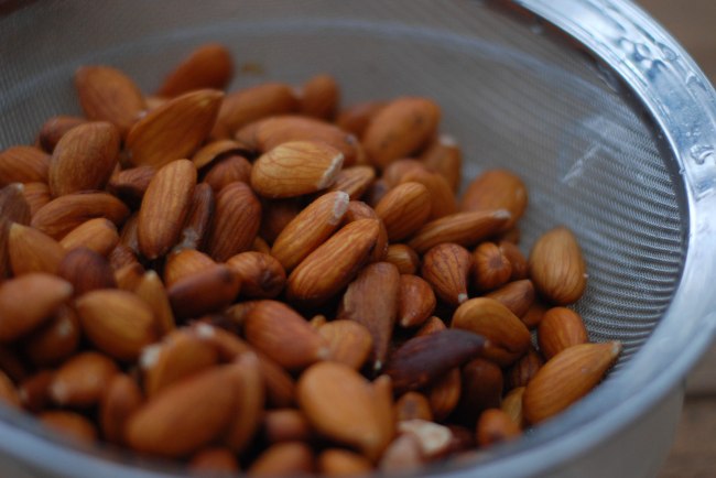 Vanilla almond milk homemade-3