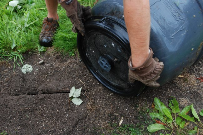 compost wendyellenthomas.com-3