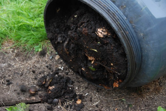 compost wendyellenthomas.com-4