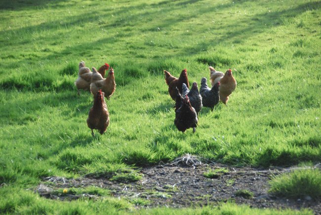 spring happenings 2014 wendyellenthomas.com-10