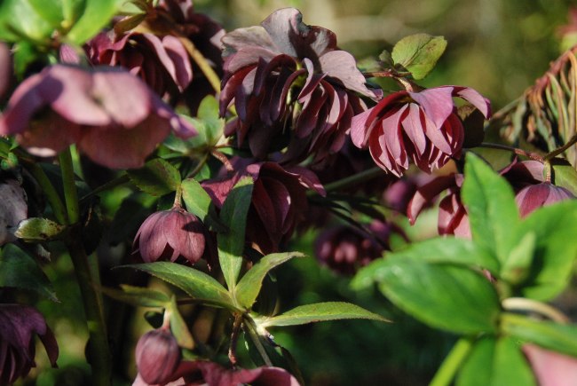 spring happenings 2014 wendyellenthomas.com-6