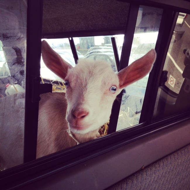 wendyellenthomas.com