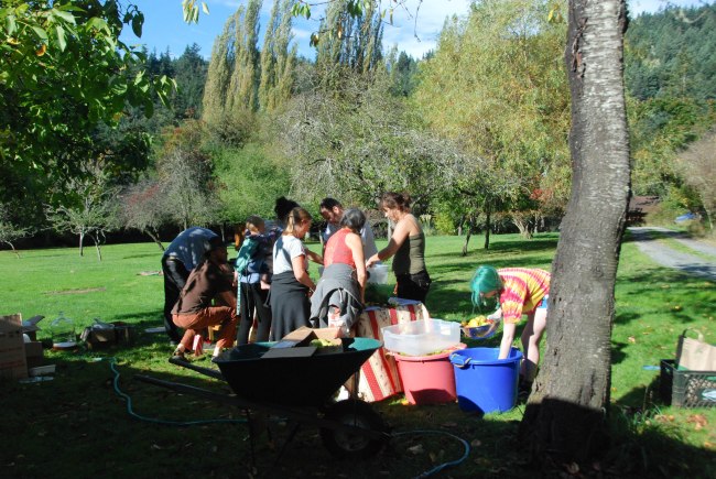 cider pressing 2014-13