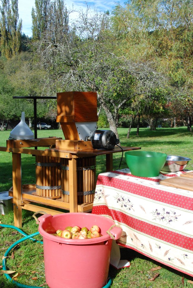 cider pressing 2014-8