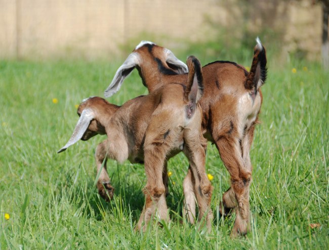 wendyellenthomas.com