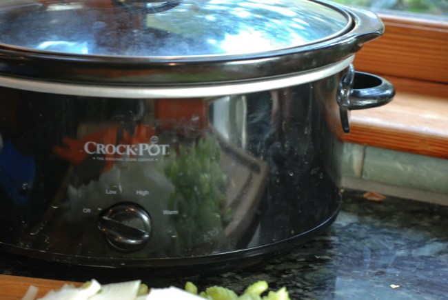 Chunky chicken and mushroom soup@ wendyellenthomas.com