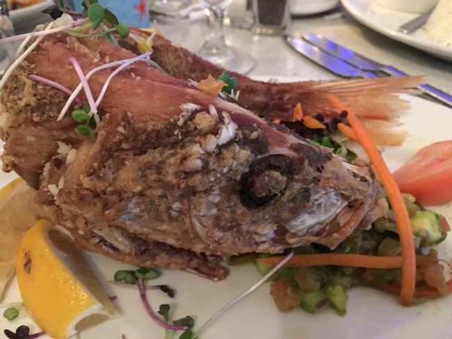 Cuban Ceviche@ wendyellenthomas.com-5-2