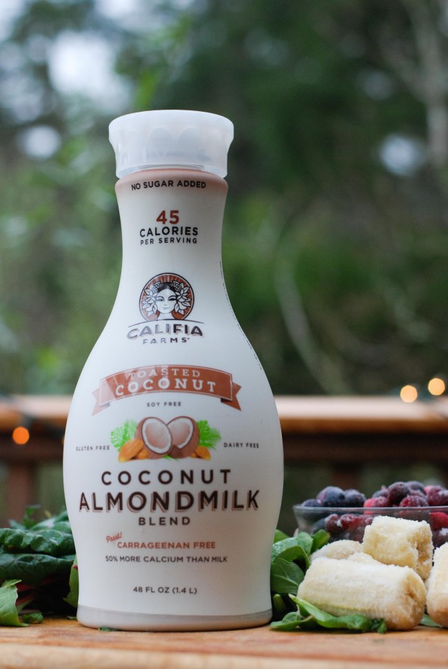 cranberry-blueberry-smoothie-4