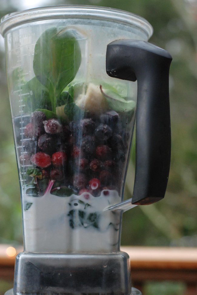 cranberry-blueberry-smoothie-8