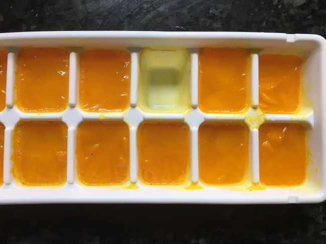frozen ginger and turmeric shots